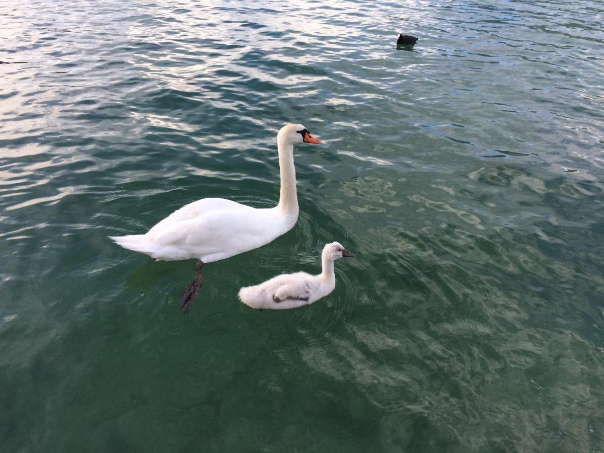 Lac Annecy Plage Privee, Duplex Baie Des Voiles Duingt Dış mekan fotoğraf